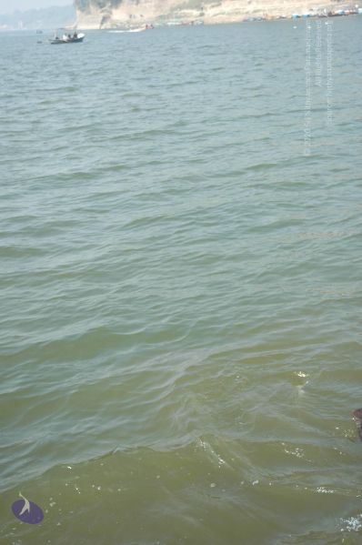 File:20060108 Picture 670 CMP WM.jpg