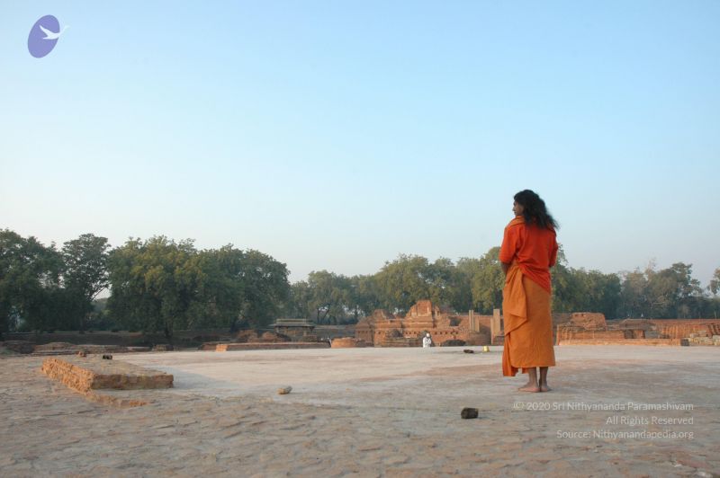 File:20060108 Picture 691 CMP WM.jpg