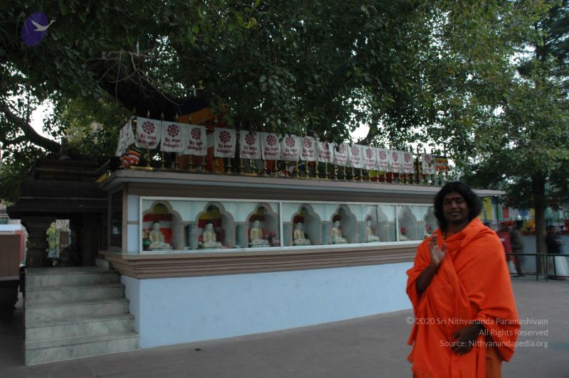 File:20060108 Picture 719 CMP WM.jpg