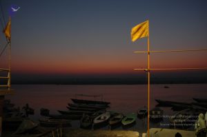 20060109 Picture 734 CMP WM.jpg