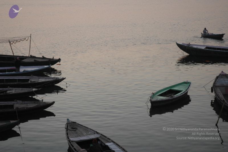 File:20060109 Picture 746 CMP WM.jpg