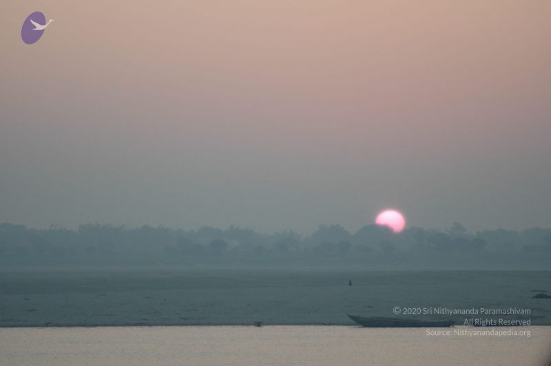 File:20060109 Picture 766 CMP WM.jpg