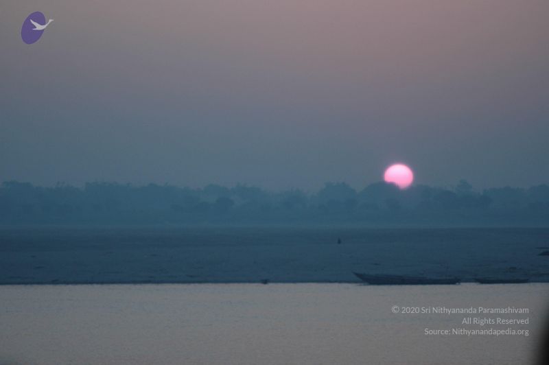 File:20060109 Picture 767 CMP WM.jpg