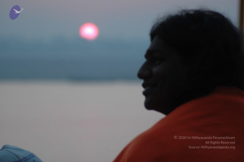 File:20060109 Picture 768 CMP WM.jpg