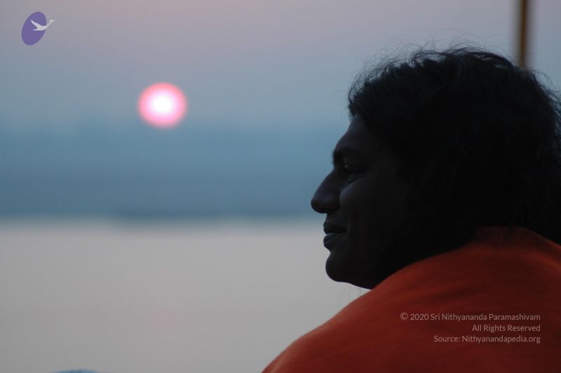 File:20060109 Picture 770 CMP WM.jpg