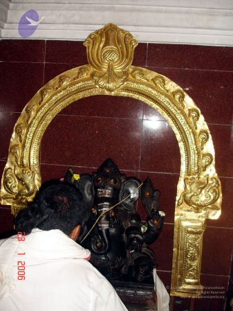 20060123 DSC00017 CMP WM.jpg