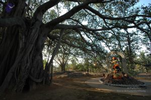 20060218 Photo 1005 1KfOi6Hn314b2wFOTcStVIr53B59Taxbg.JPG