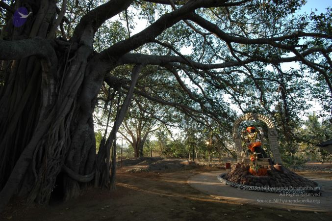 20060218 Photo 1005 1KfOi6Hn314b2wFOTcStVIr53B59Taxbg.JPG