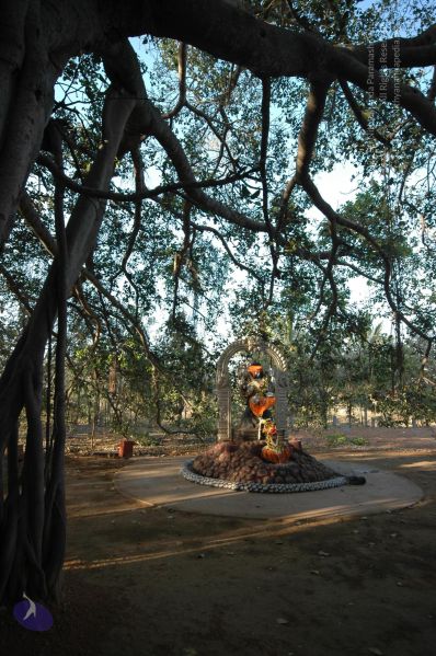 File:20060218 Photo 1006 1bkzhVi-jstWjrM3xkNIIQyb7hrxUUf72.JPG