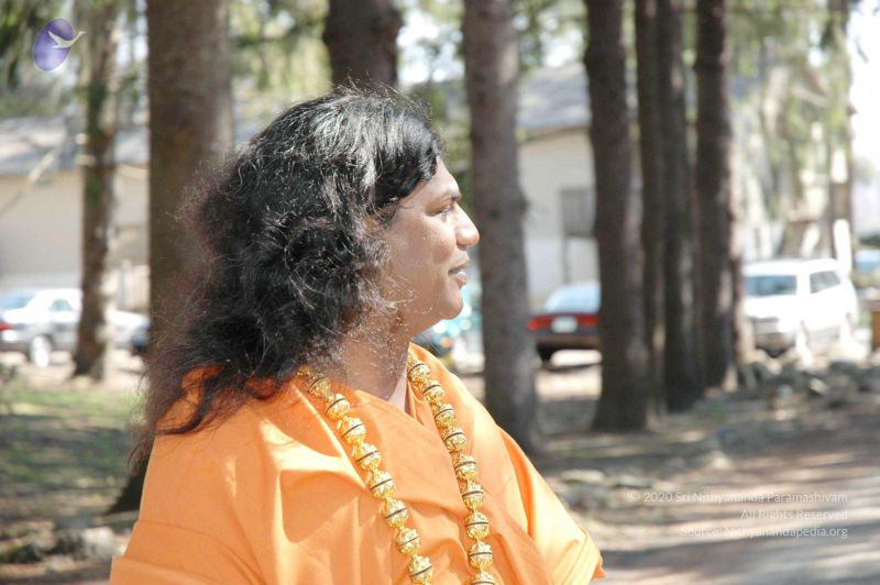 File:20060412 Photo 189 1Dri37vr2LTeTYwUIitITqTYZDFUCchpm.jpg