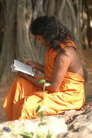 20060419 Photo 1011 15jNcrduM5JudTyp2oA56 2KQ0dC1tBQi.JPG