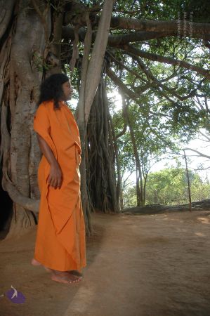 20060419 Photo 1063 1jx0Fwmu96HZKcekPQcwKLAdreFZFEZKU.JPG