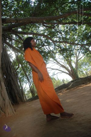 20060419 Photo 1066 1KhtQvnPDs21oX0U3hZIGy6Cuu93WaOel.JPG