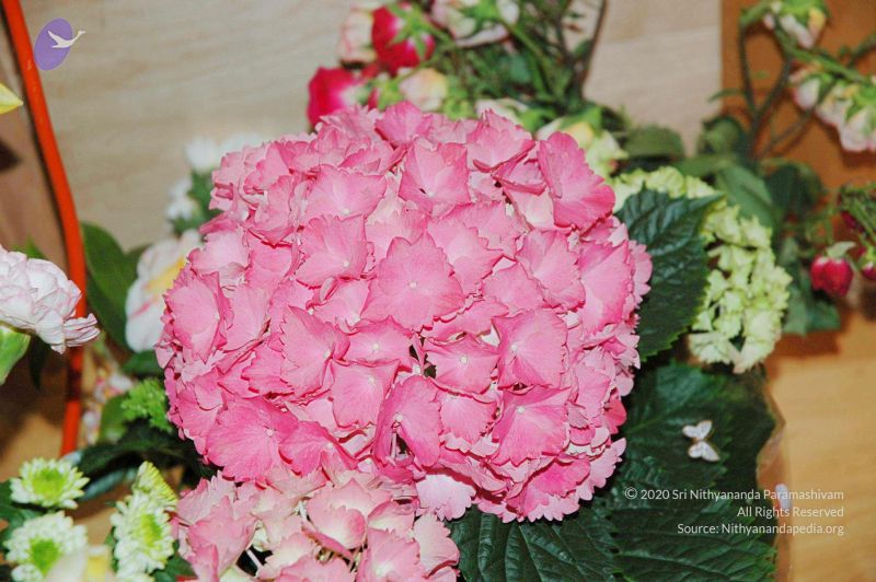 File:20060423 Photo 61 1C7K6Z8vBY2GXIBLGDAYCeGOOPZigbWe9.jpg