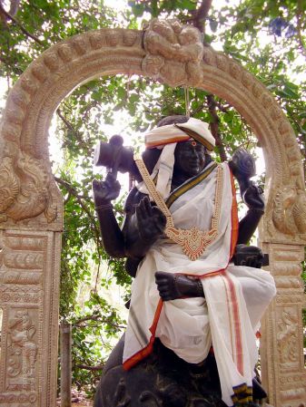 20060504 P3170149 CMP WM 33.jpg