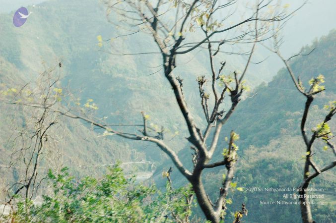 20060523 Photo 20 1eDfgmk8etnc4229i53xPbkK7ZWa2E4 f.jpg