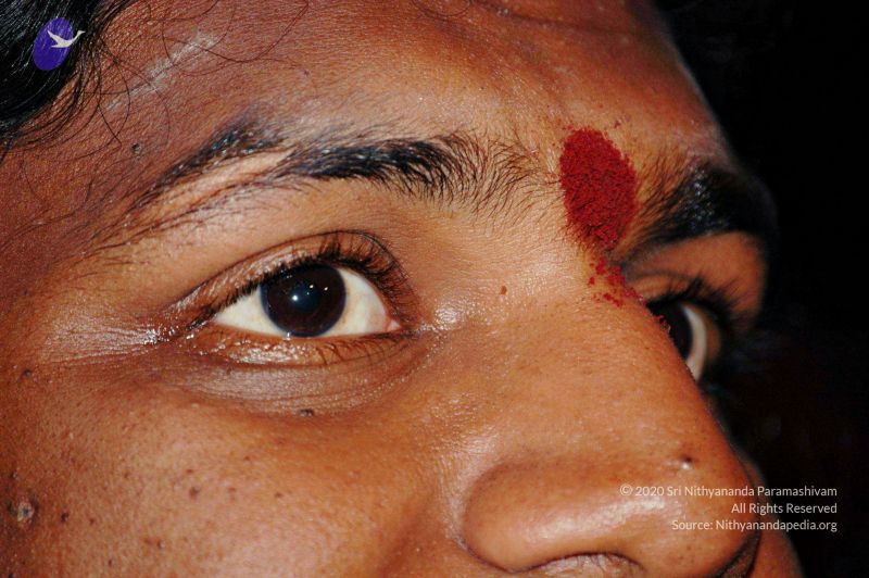 File:20060525 Photo 50 12dZJX-Xqgv34IUNqrVsVMuqb3nAoi0AD.jpg