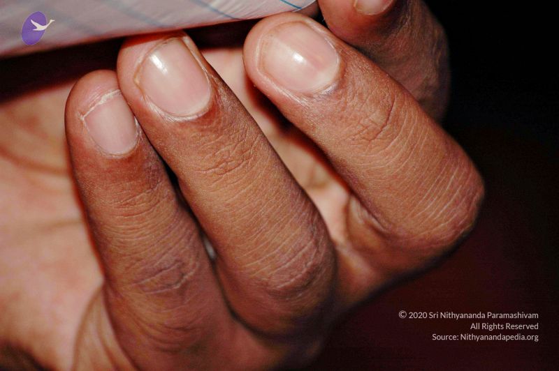 File:20060525 Photo 52 1HzmkcjbTY6fjWIOfHjlsCxJLYuTA8D6H.jpg