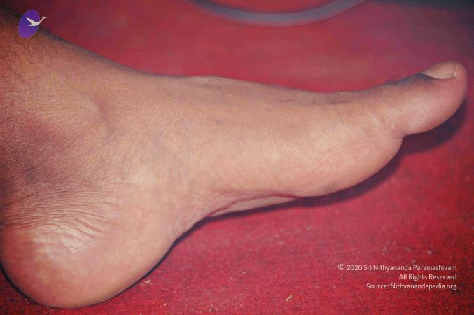 20060525 Photo 58 1y1KLV77cCQAeImK2n-4AGvkxyWK zJas.jpg