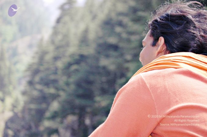 20060526 Photo 292 1Wrjf9bBLcGSYA5wV5MUWIXQd2Pjrf5rs.jpg