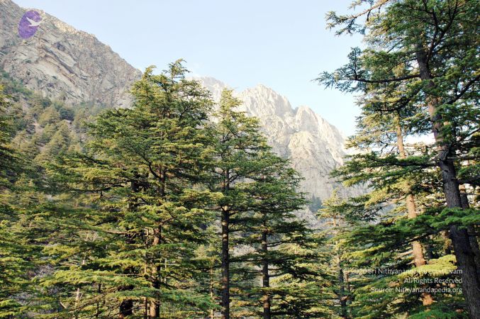 20060527 Photo 11 1n1ASTNwKMD0igPTCNLy2dWGcFyEHkBjz.jpg