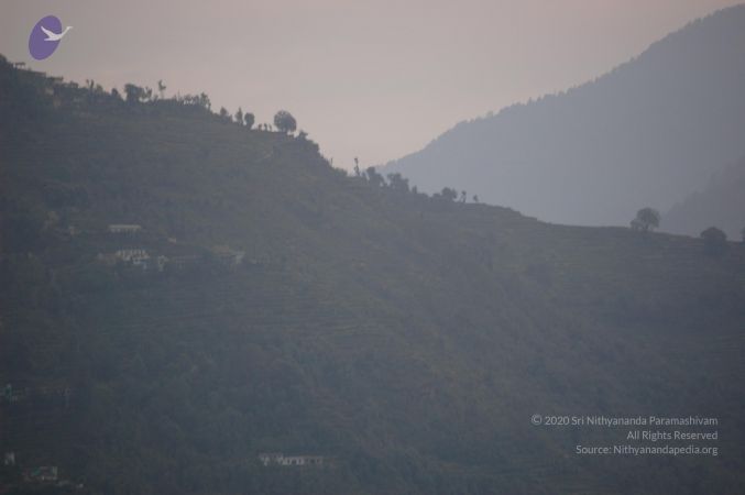 20060529 DSC 0062 CMP WM.jpg