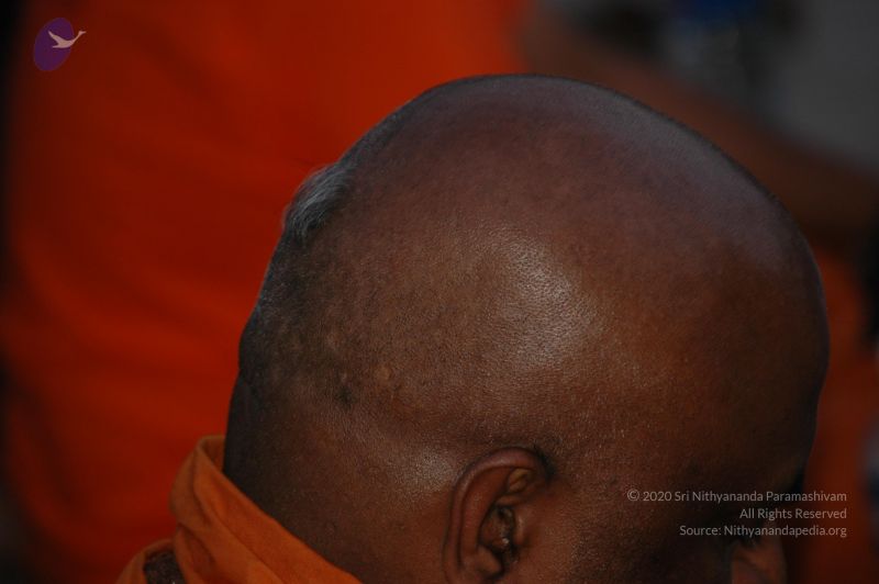 File:20060529 DSC 0067 CMP WM.jpg