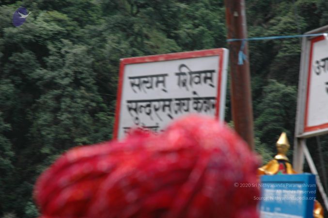 20060530 DSC 0021 CMP WM.jpg