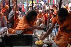 20060530 DSC 0051 CMP WM.jpg