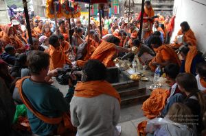 20060530 DSC 0072 CMP WM.jpg