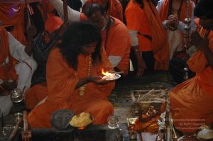 20060530 DSC 0097 CMP WM.jpg