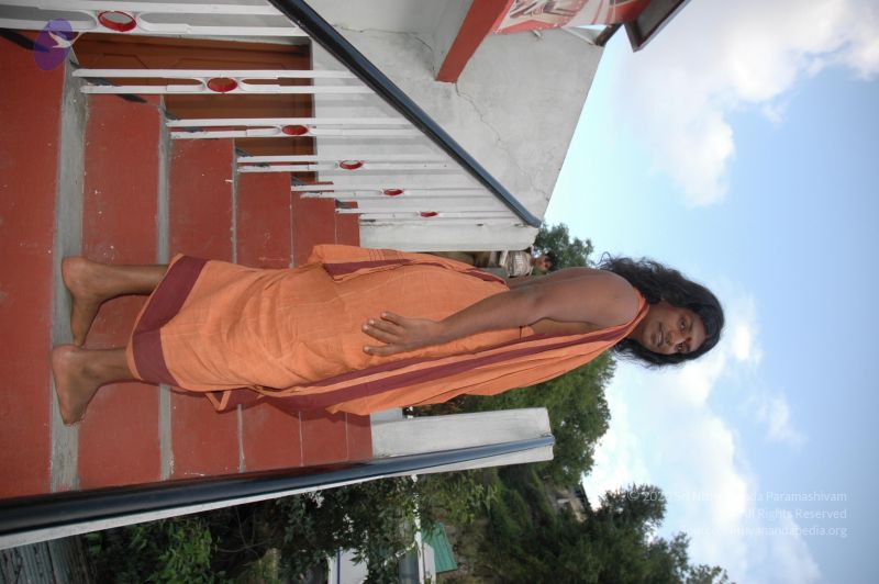 File:20060531 DSC 0005 CMP WM.jpg