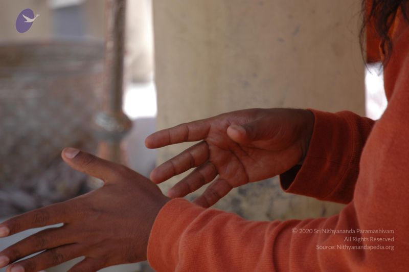 File:20060601 DSC 0134 CMP WM.jpg