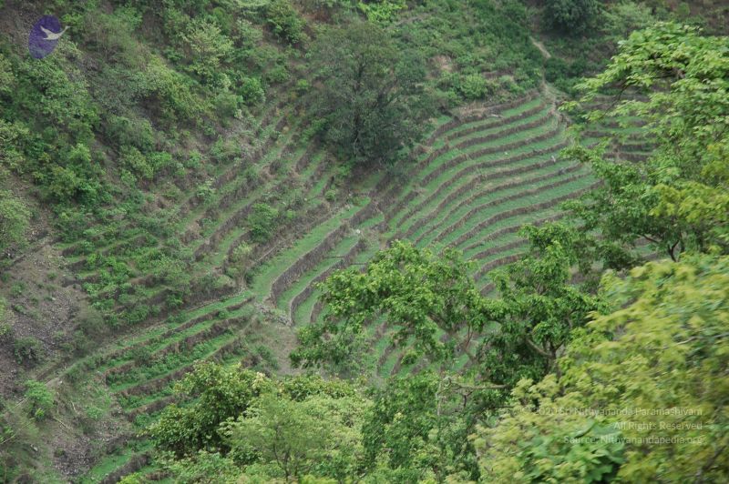 File:20060603 DSC 0066 CMP WM.jpg