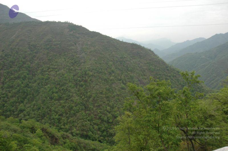 File:20060603 DSC 0074 CMP WM.jpg