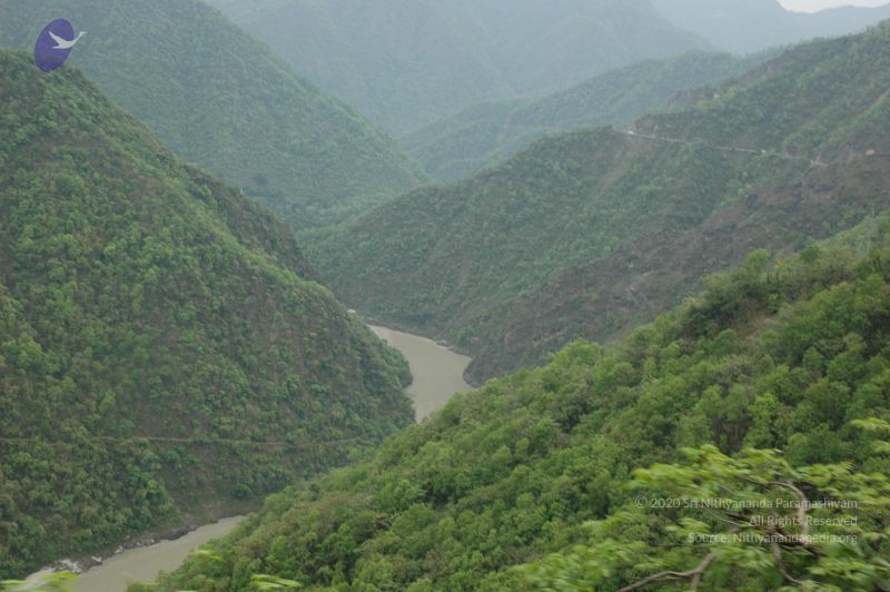 File:20060603 DSC 0077 CMP WM.jpg