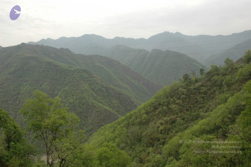 File:20060603 DSC 0078 CMP WM.jpg