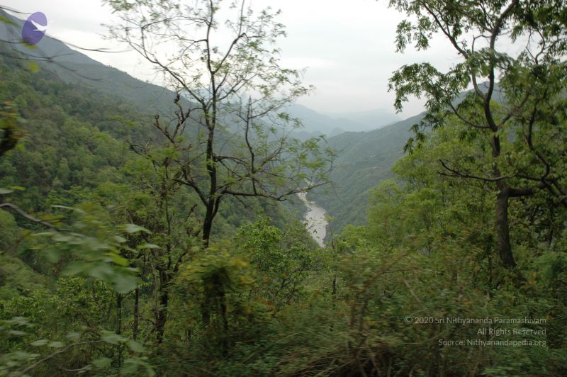 File:20060603 DSC 0082 CMP WM.jpg