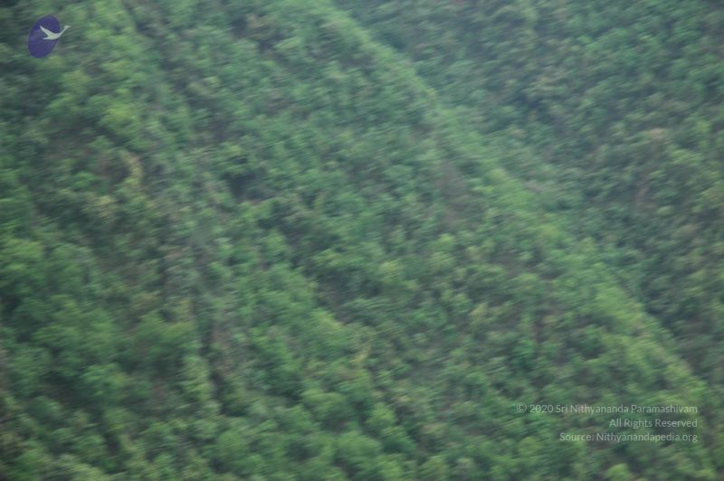 File:20060603 DSC 0089 CMP WM.jpg