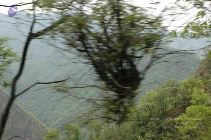 File:20060603 DSC 0090 CMP WM.jpg