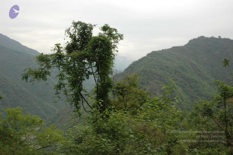 File:20060603 DSC 0092 CMP WM.jpg