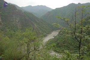 20060603 DSC 0110 CMP WM.jpg