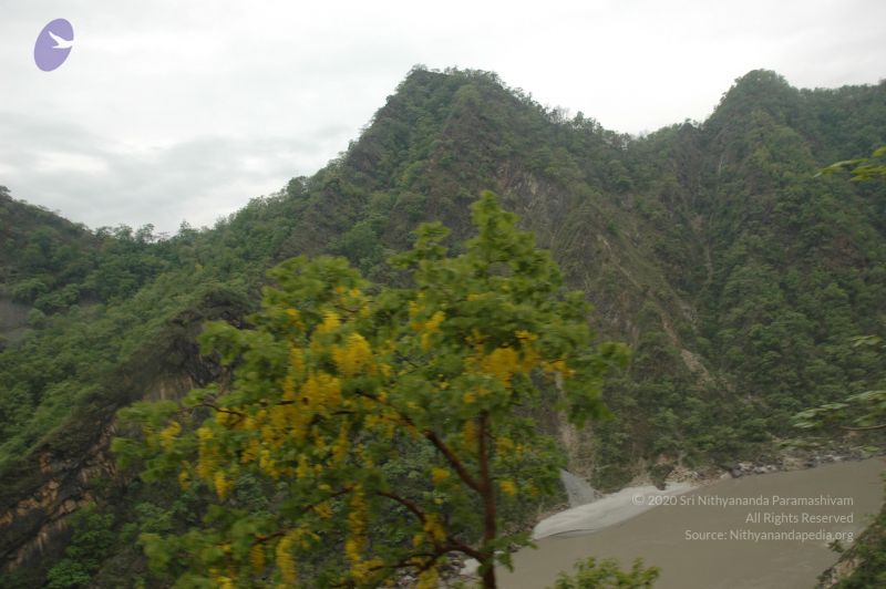 File:20060603 DSC 0114 CMP WM.jpg