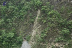 20060603 DSC 0117 CMP WM.jpg