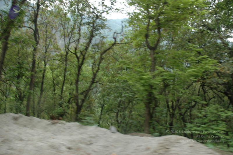 File:20060603 DSC 0130 CMP WM.jpg