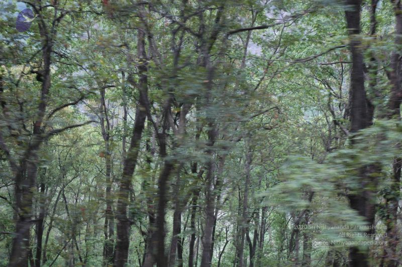 File:20060603 DSC 0132 CMP WM.jpg