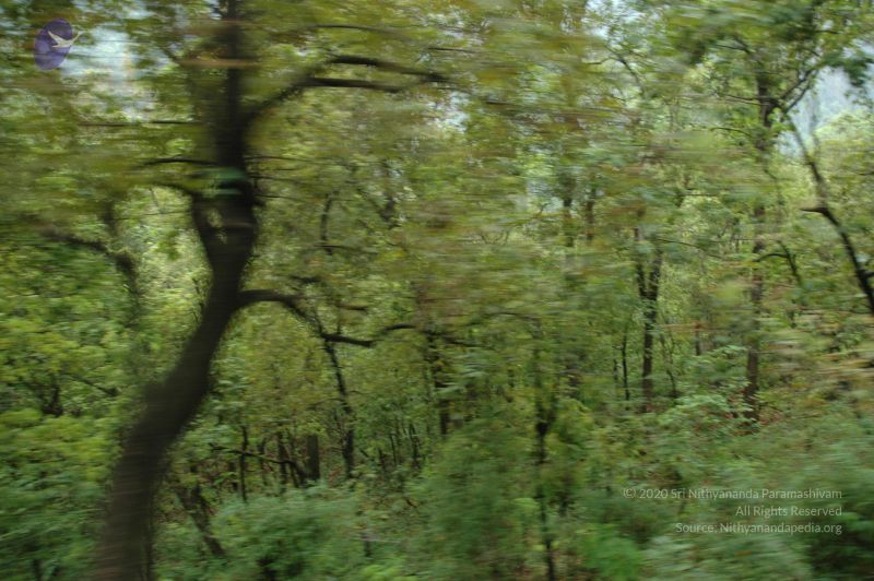 File:20060603 DSC 0145 CMP WM.jpg