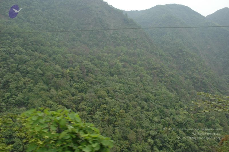 File:20060603 DSC 0149 CMP WM.jpg