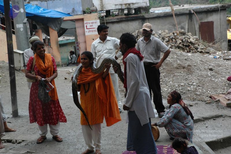 File:20060603 DSC 0150 CMP WM.jpg