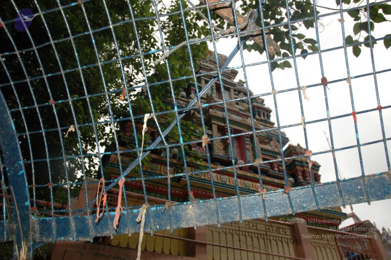 File:20060603 DSC 0153 CMP WM.jpg